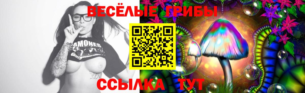 где продают наркотики  Галлюциногенные грибы Psilocybe  Вход с VPN  Белогорск 