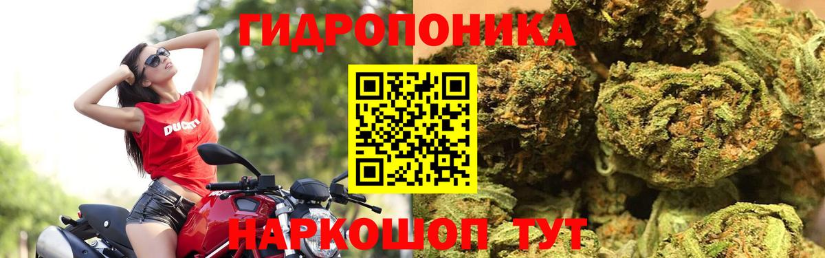 Бошки Шишки Bruce Banner  Шишки марихуана Ganja  Вход с VPN  Белогорск 
